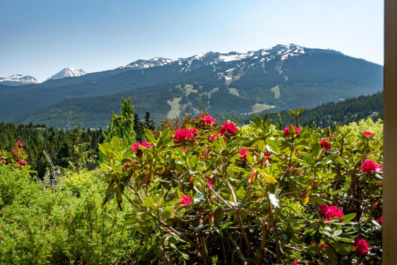The Ironwood On Blueberry Hill Appartement Whistler Buitenkant foto